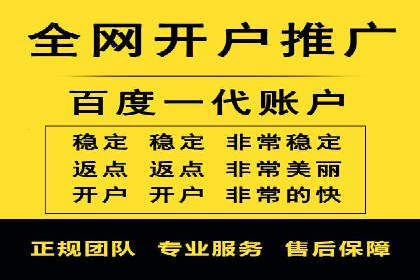 SEM竞价实战：成功案例解析